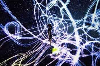 看十遍日本最当红的teamlab展览，你会改变看世界的方式